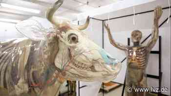 Neue Hoffnung: Gläserne Figuren in Dresden können wohl erhalten bleiben - Leipziger Volkszeitung