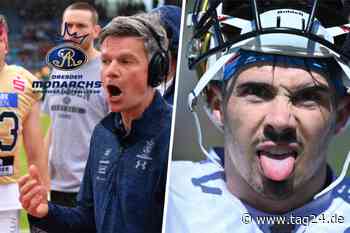 Dresden Monarchs müssen Kölner Krokodile und Hitze bezwingen: "Das wird definitiv heiß!" - TAG24