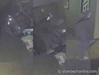 Can you help the Steinbach RCMP identify the thief in this video? - SteinbachOnline.com