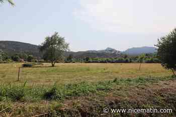 Sanctuarisation des Vergers de Minelle pour lutter contre les inondations: douche froide à Mandelieu