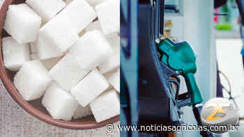 Cana: Produção na safra 22/23 na região de Capivari (SP) não deve ser tão diferente da anterior como se esperava - Notícias Agrícolas