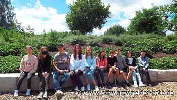 Ukrainische Schüler - Aus Mariupol nach Geislingen in die Gemeinschaftsschule - Schwarzwälder Bote