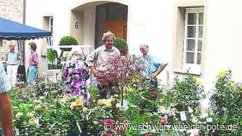 Freizeit in Rosenfeld - Reihe Rosenzauber startet wieder neu - Schwarzwälder Bote