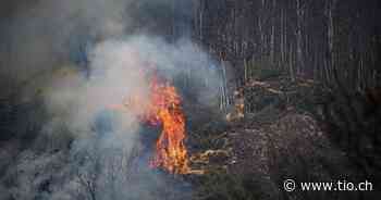 A Biasca 36.6 gradi. Allarme incendi, scatta il grado tre in Ticino - Ticinonline