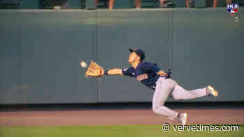 Daily Dash: Trout leaps to bring one back and Kwan's incredible diving snag - Verve Times