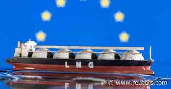 U.N. chief says the dash for new fossil fuels is 'delusional' - Reuters.com