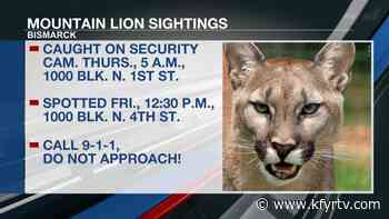 Bismarck Police advise public of mountain lion sightings - KFYR