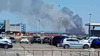 Ostia: incendio nella pineta di Castel Fusano