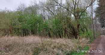 Infovergadering over oude stortplaats in Zoerle-Parwijs | Westerlo | hln.be - Het Laatste Nieuws