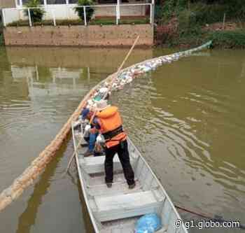 Mais de 250 kg de lixo são retirados de rio em Carangola - g1.globo.com
