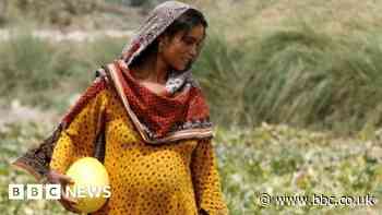 Climate change: Bonn talks end in acrimony over compensation