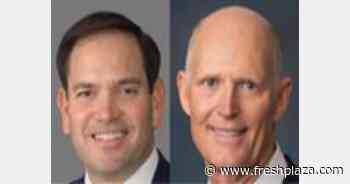 Rubio and Scott introduce Defending Domestic Orange Juice Production Act - FreshPlaza.com