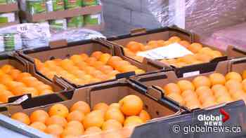 May busiest month at Fredericton food bank as living costs rise - Global News