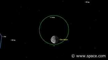 Look up! See the moon shine near massive asteroid Vesta this weekend.