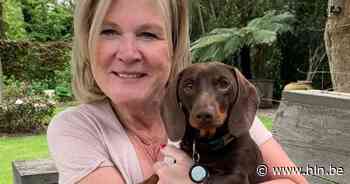 Huisdieren en baasjes welkom op Beestig Eeklo - Het Laatste Nieuws