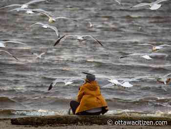 Weather: A bit grey, gusty winds and high of only 17 C for Saturday