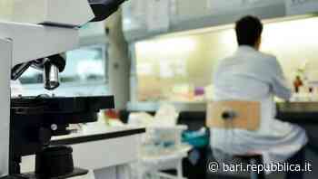 Nel Policlinico di Bari bimba di 6 anni affetta psoriasi trattata con nuovo farmaco biologico: "Rinata dopo una settimana" - La Repubblica