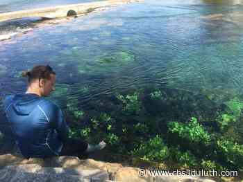 Duluth woman to run Grandma’s marathon seven years after liver transplant - CBS 3 Duluth