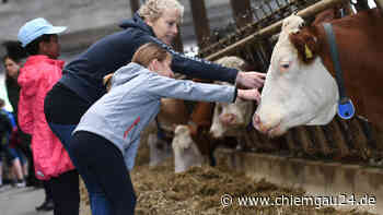 Traunstein: Aktiv-Wochen „Sommer.Erlebnis.Bauernhof“ starten am 27. Juni 2022 - chiemgau24.de