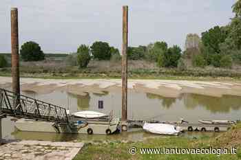 Allarme siccità per il Po, sull'agricoltura incombe lo spettro del cuneo salino - La Nuova Ecologia