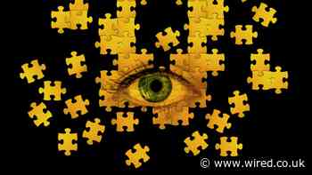 An Alleged Russian Spy Was Busted Trying to Intern at The Hague