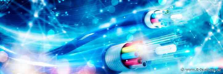Schnelles Internet ist nicht auf Speed - IT-BUSINESS