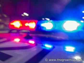 Saskatchewan traffic stop kicks off drug investigation, leads to two arrests - The GrowthOp