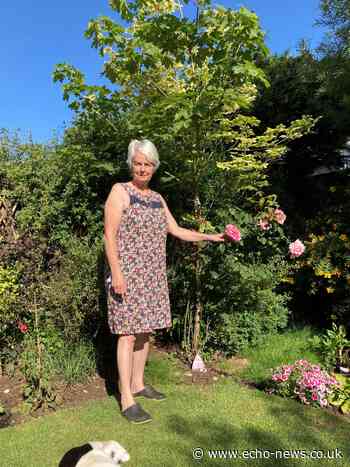 Four gardens opening to the public for Basildon trail | Echo - Southend Echo