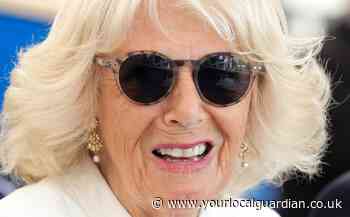 Wordle: Camilla reveals she plays the game 'every day' with granddaughter in rare interview