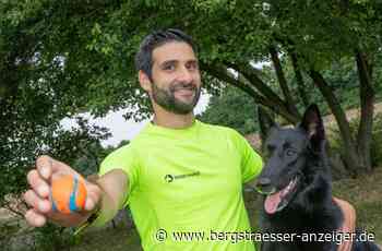 Renzo Cappello mit Schäferhund Gringo: Ein Weltmeisterduo aus Heppenheim - Heppenheim - Nachrichten und Informationen - Bergsträßer Anzeiger