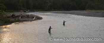 Une dizaine de nouveaux territoires protégés au Québec