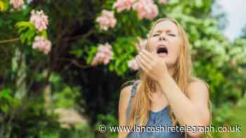 7 tips to relieve your hayfever symptoms as Met Office warns of 'pollen bomb'