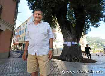Le prix national de l'arbre de l'année, c'est lui! Qui est Horace di Maggio, ce bénévole au grand cœur à Vence?