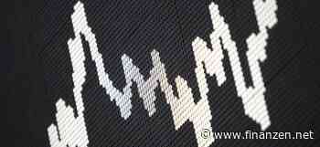 Kaufgelegenheiten im Bärenmarkt: Bei diesen beiden Aktien sehen JPMorgan-Analysten Verdoppelungschancen - finanzen.net