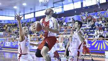 La Vigor Basket Matelica a due passi dalla storia - Vivere Camerino