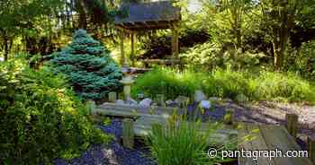 Gardener's Corner: Feed community by donating homegrown fruits, veggies - The Pantagraph