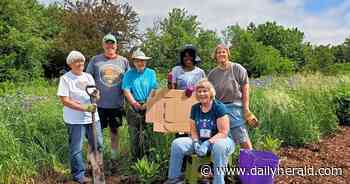 Visit the Kane County Master Gardener Idea Garden this summer - Daily Herald