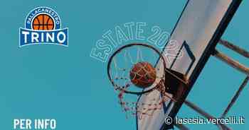 Si gioca a basket gratuitamente con la Pallacanestro Trino - La Sesia | Cronaca