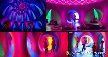 An experience of colour and light is coming to Calgary - LiveWire Calgary