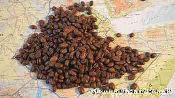 Ethiopia: Organized Crime Pours Cold Water On Coffee Exports – Analysis - Eurasia Review