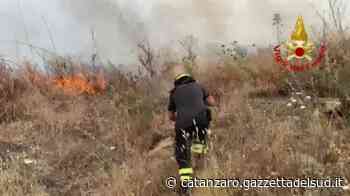 Giornata di fuoco nella provincia di Crotone: pompieri e canader contro gli incendi - Gazzetta del Sud - Edizione Catanzaro, Crotone, Vibo