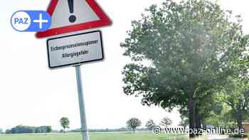 Warnung vor Eichenprozessionsspinnern in Peine – an diesen Stellen brennt’s - Peiner Allgemeine Zeitung - PAZ-online.de