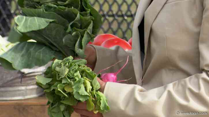 Austin sustainability office starts 'food justice' grant program