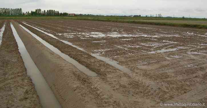 Siccità, Patuanelli: “Inevitabile dichiarare lo stato di crisi”. In Piemonte invasi al minimo storico e si teme per la raccolta del riso