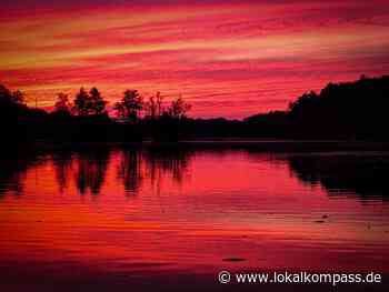 Bürgerreporter-Fotos: Bis 24. Juni: Fünf neue Schnappschüsse auf der Newswall - www.lokalkompass.de