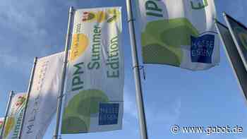 BGI: Dichtes Programm und sommerliche Stimmung in Essen - GABOT