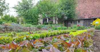 Bamberg: Neue Perspektiven im Garten des Bauernmuseums - Führung am Sonntag - inFranken.de
