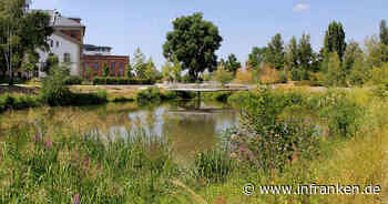 Bamberg: '10 Jahre Erba-Park“ - Bürgerparkverein lädt zu Führung ein - inFranken.de