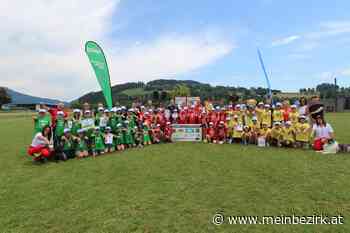 Kinder-Sicherheitsolympiade: Die Steuerberger Schüler lösen das Ticket für das Landesfinale - meinbezirk.at