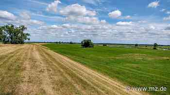 Maßnahmen zum Wassersparen im Landkreis Wittenberg rücken in den Fokus - Mitteldeutsche Zeitung